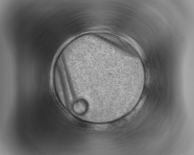 X0000102521196200809051436