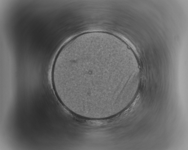 X0000102521197200809051436