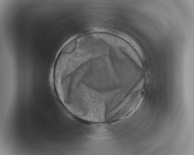 X0000102521198200809051436