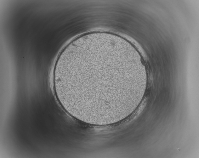 X0000102521199200809051436