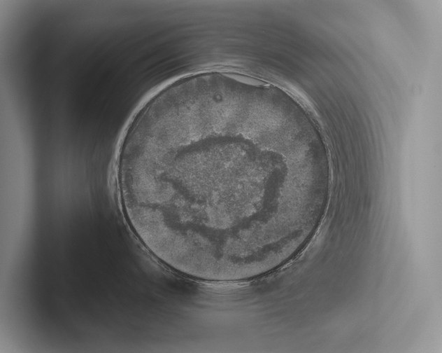 X0000102521200200809051436