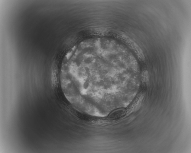 X0000102521202200809051436