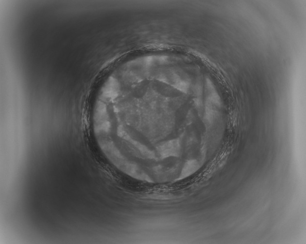 X0000102521206200809051436