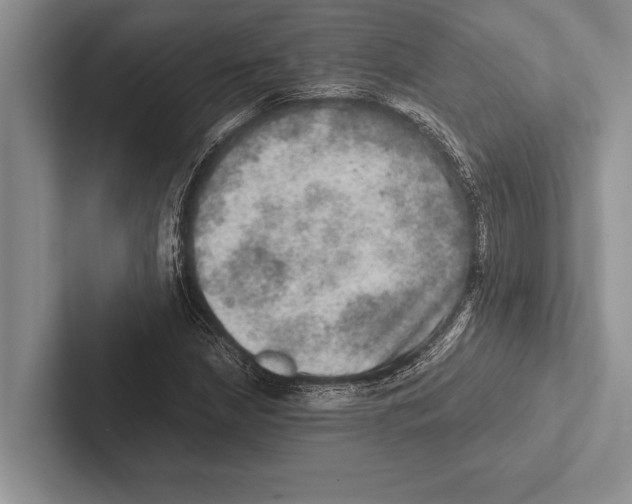 X0000102521210200809051436