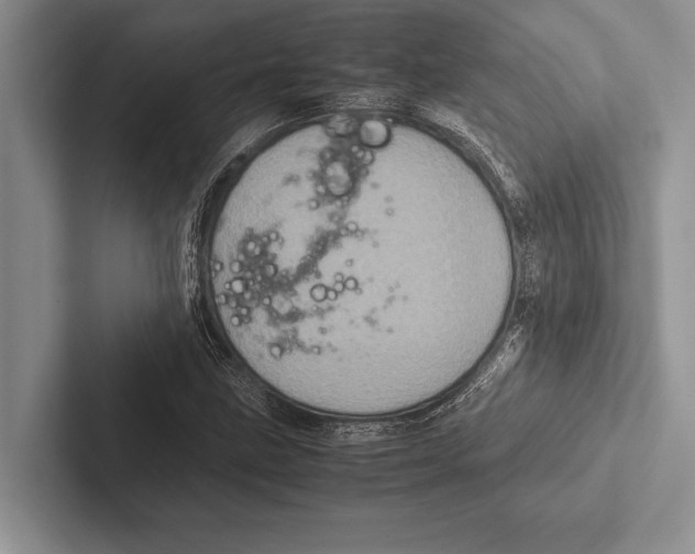 X0000102521211200809051436