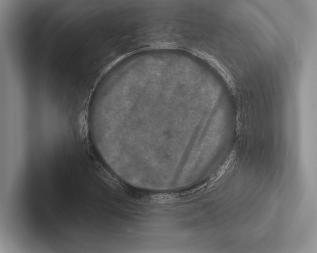 X0000102521212200809051436