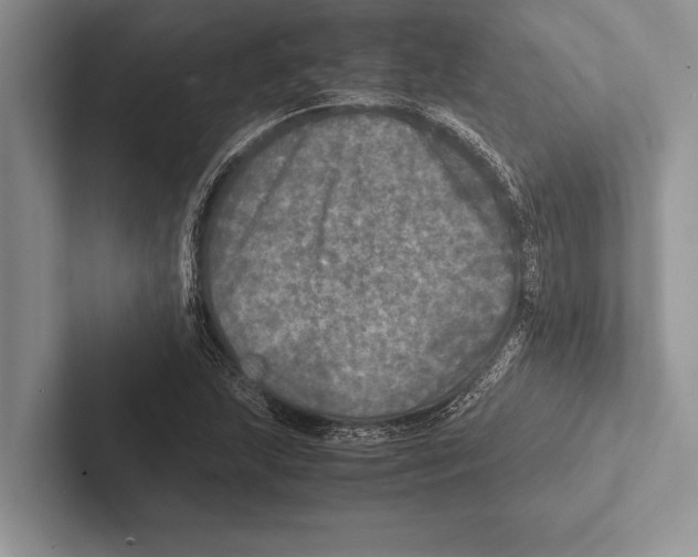 X0000102521215200809051436