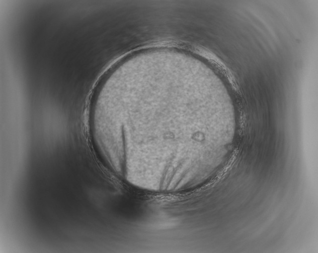 X0000102521216200809051436