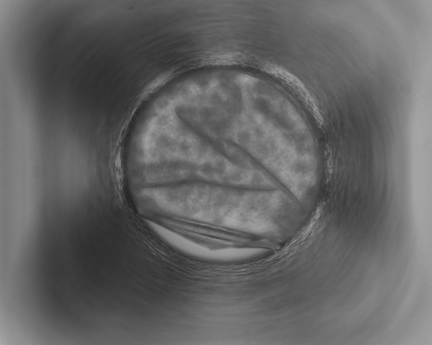 X0000102521218200809051436