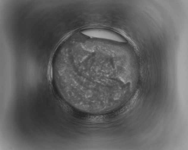 X0000102521221200809051436