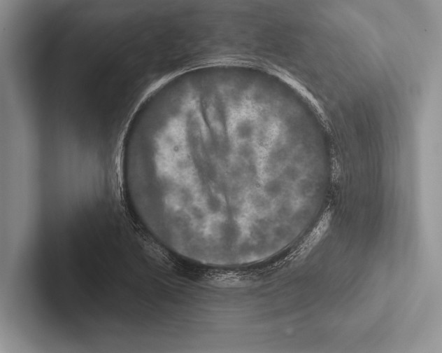 X0000102521222200809051436