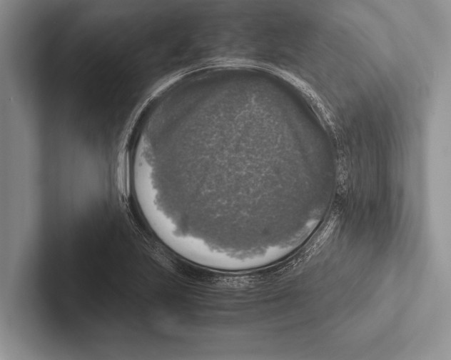 X0000102521223200809051436