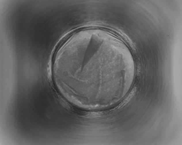 X0000102521224200809051436