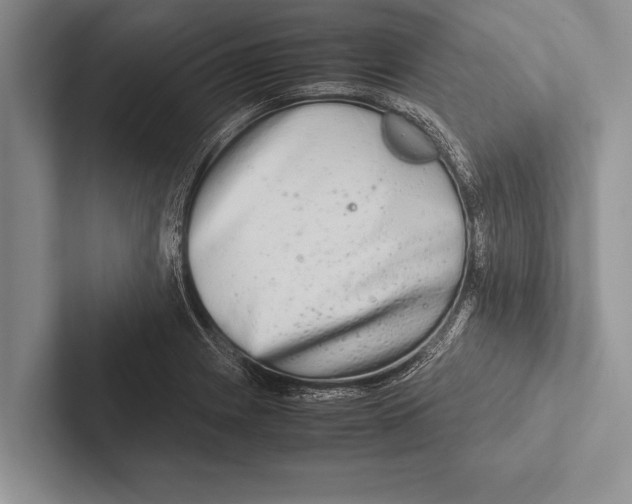 X0000102521225200809051436