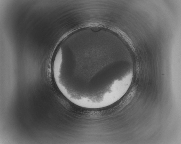 X0000102521226200809051436