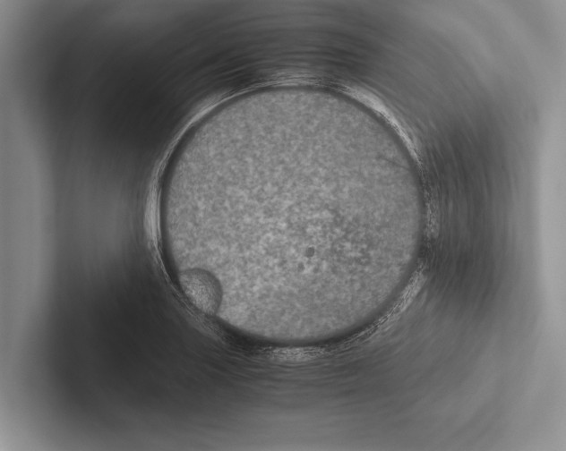 X0000102521227200809051436