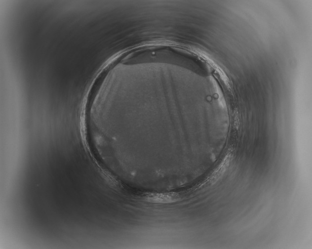 X0000102521229200809051436