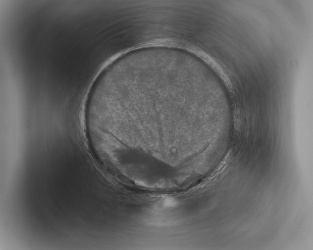 X0000102521230200809051436