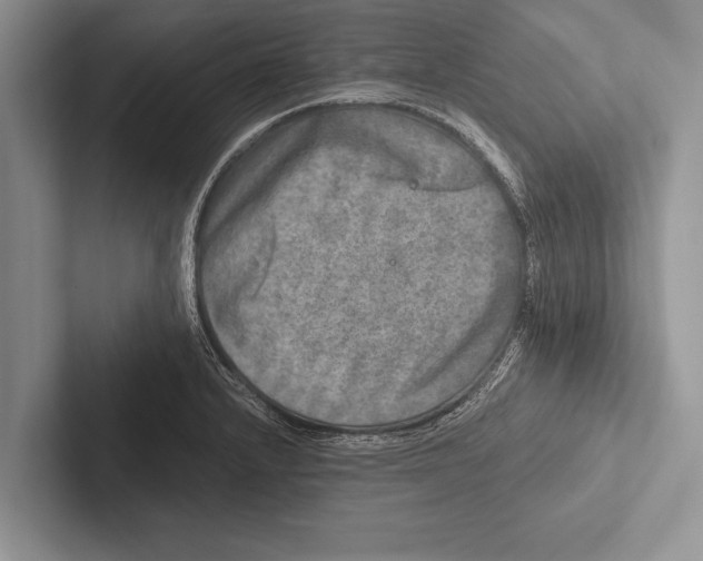 X0000102521232200809051436