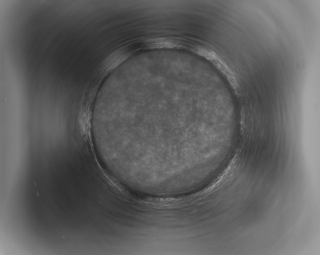 X0000102521233200809051436