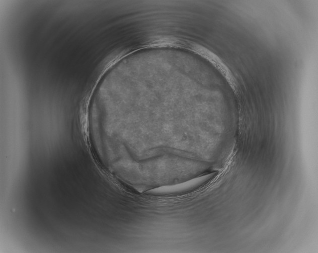 X0000102521234200809051436