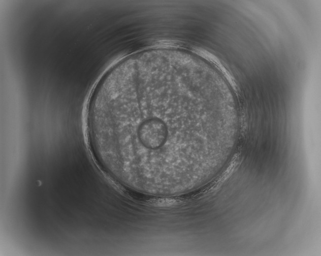 X0000102521235200809051436