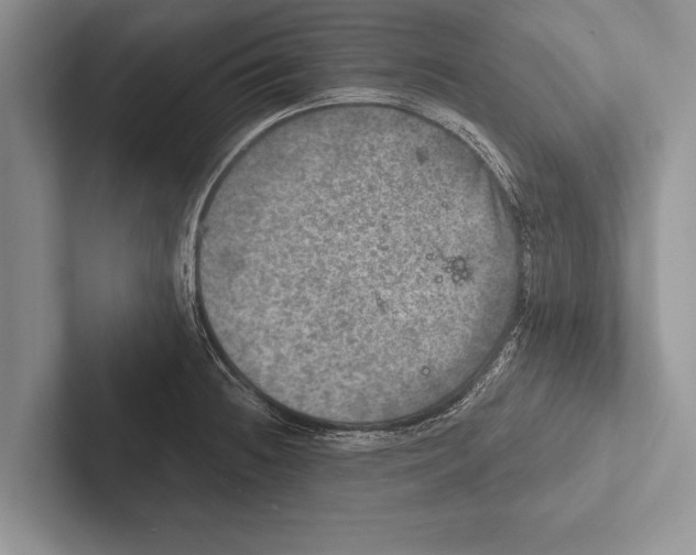 X0000102521236200809051436