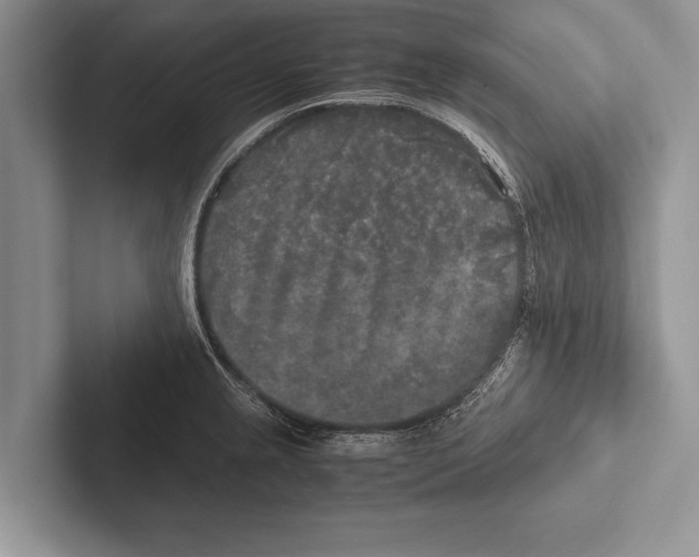 X0000102521237200809051436