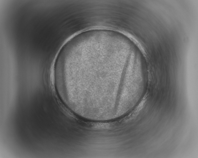 X0000102521238200809051436