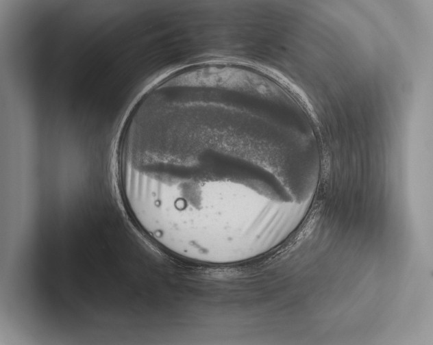 X0000102521239200809051436