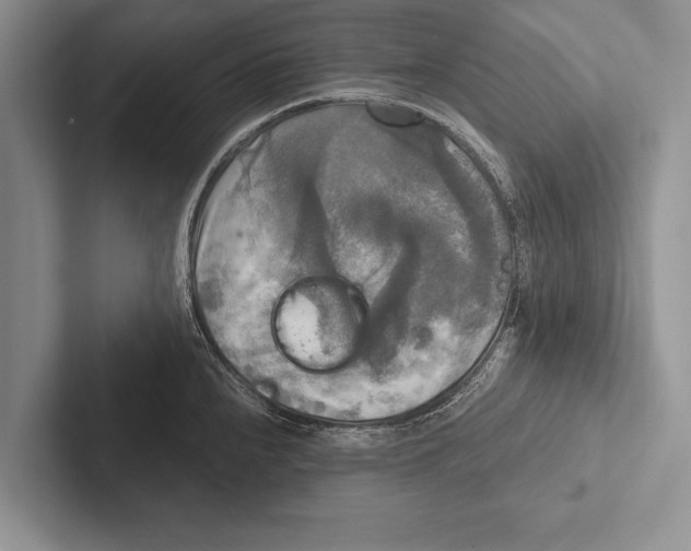 X0000102521240200809051436