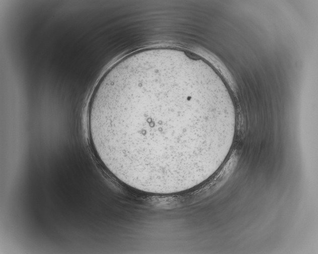 X0000102521242200809051436