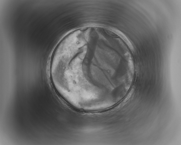 X0000102521244200809051436