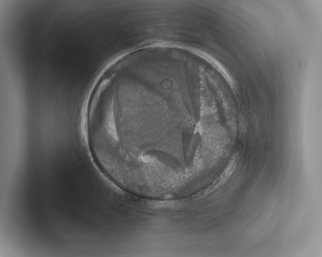 X0000102521247200809051436