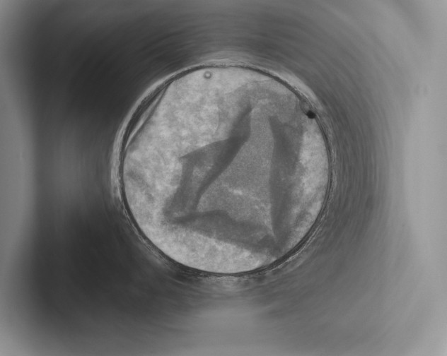 X0000102521248200809051436