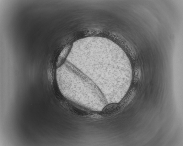 X0000102521250200809051436