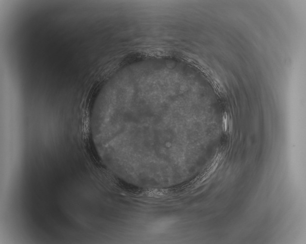 X0000102521251200809051436