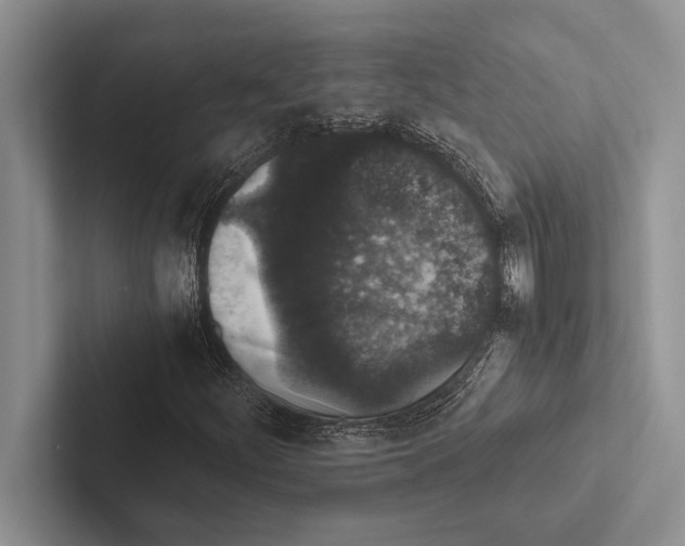 X0000102521252200809051436