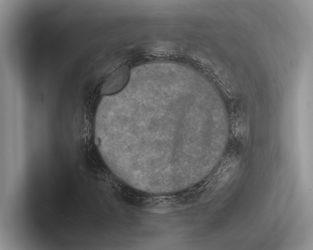 X0000102521253200809051436