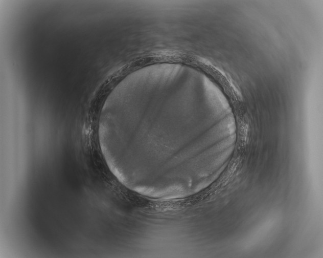 X0000102521254200809051436