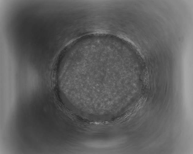 X0000102521255200809051436