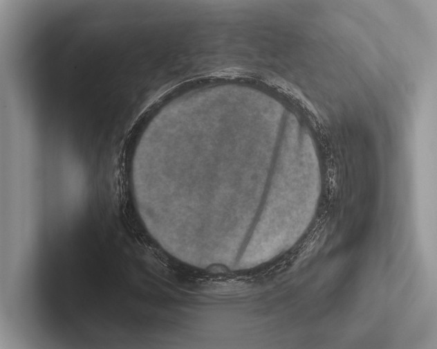 X0000102521256200809051436