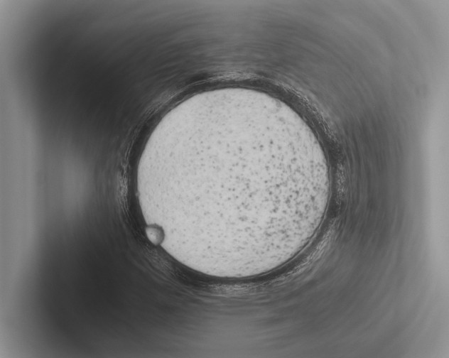 X0000102521257200809051436