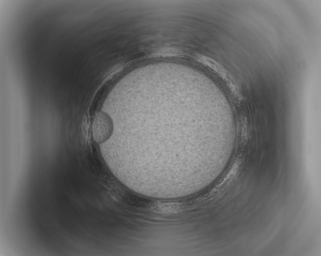 X0000102521258200809051436