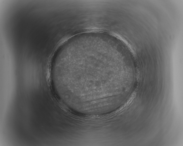 X0000102521259200809051436