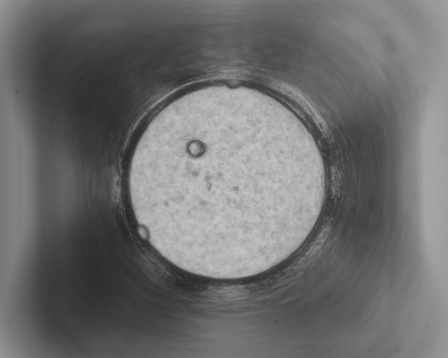 X0000102521260200809051436