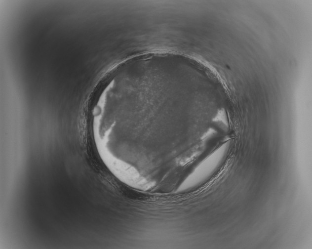 X0000102521263200809051436