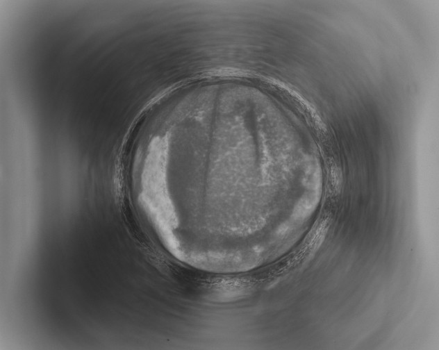 X0000102521266200809051436