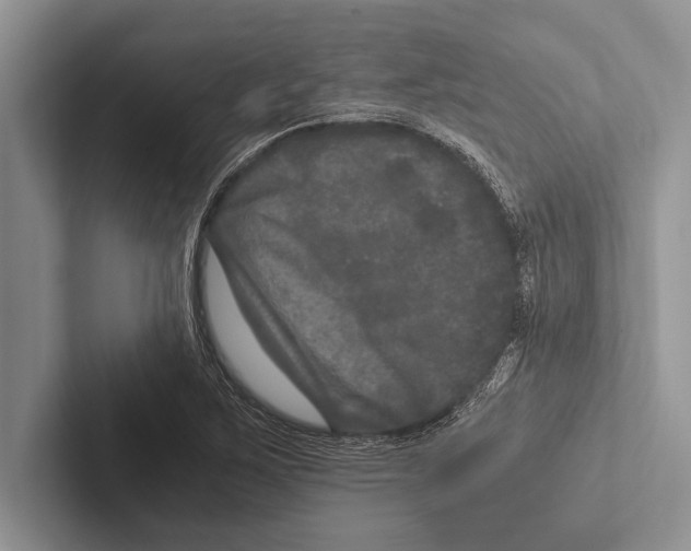 X0000102521267200809051436