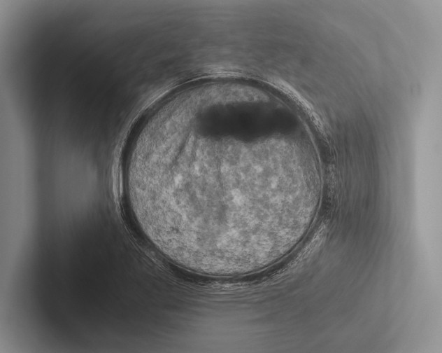 X0000102521269200809051435